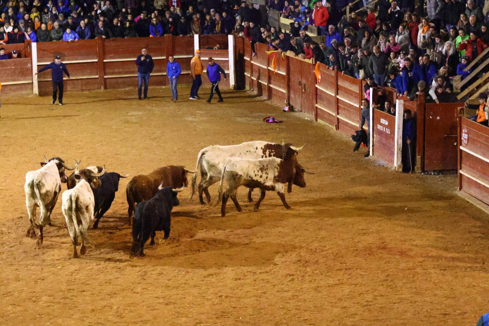 Arriesgados quiebros y cortes para finalizar el Carnaval de Ciudad Rodrigo