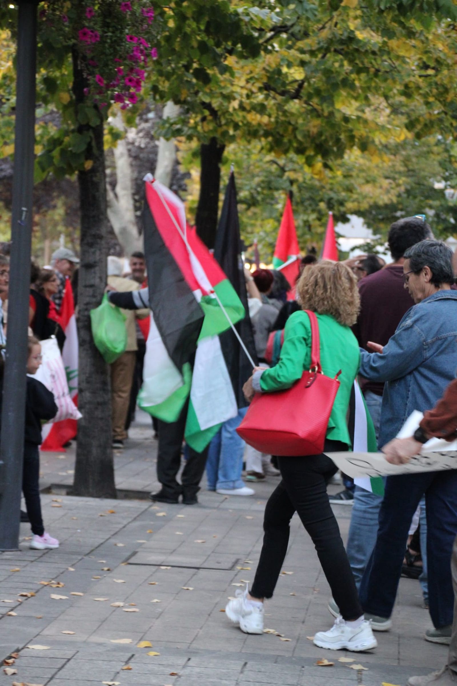 Medio millar de personas se manifiestan en Salamanca en apoyo a Palestina y la flotilla