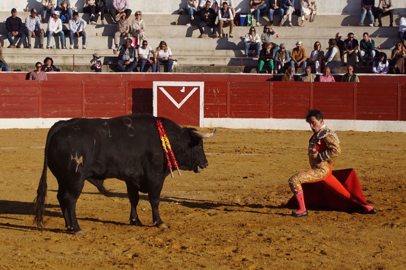 novillada-con-picadores-en-villoria-87