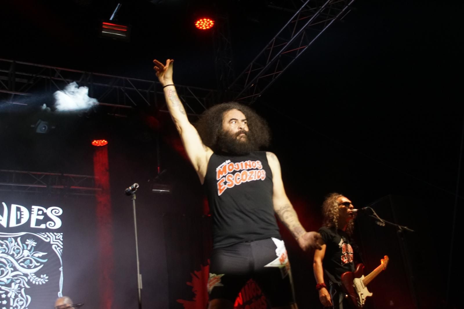 concierto-de-los-mojinos-escozios-en-santa-marta-de-tormes-30