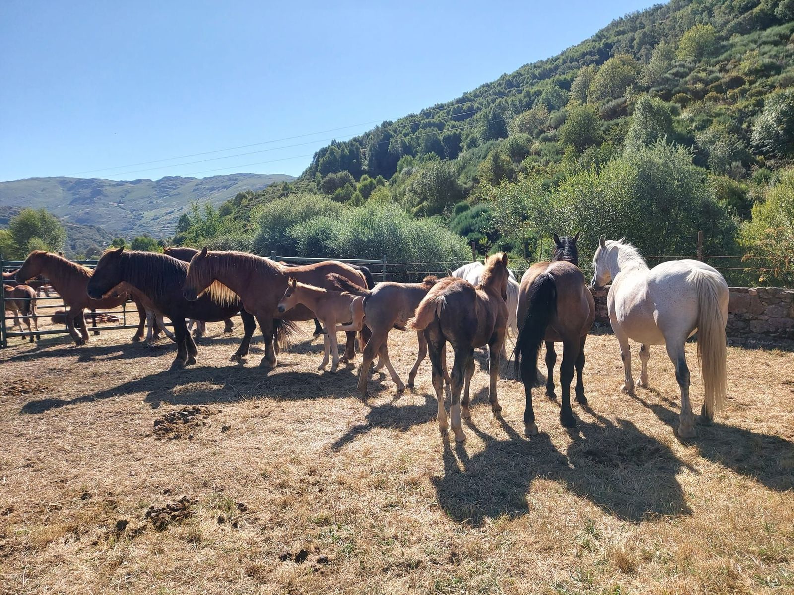 Imagen de la edición del pasado año