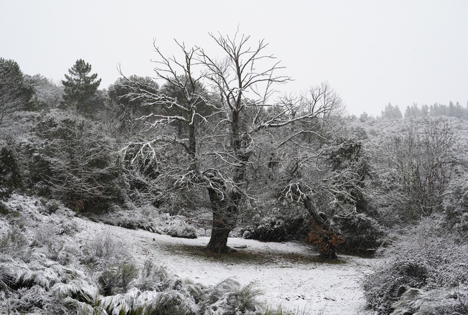Nieve en El Bierzo
