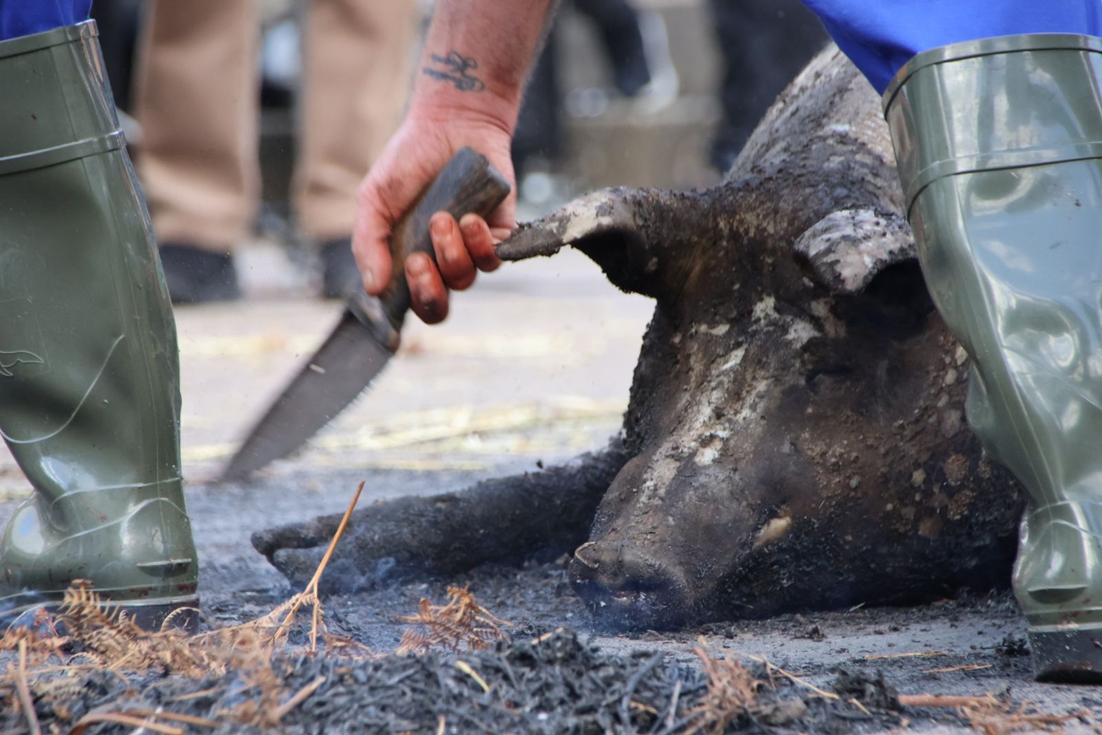 Guijuelo Matanza Típica