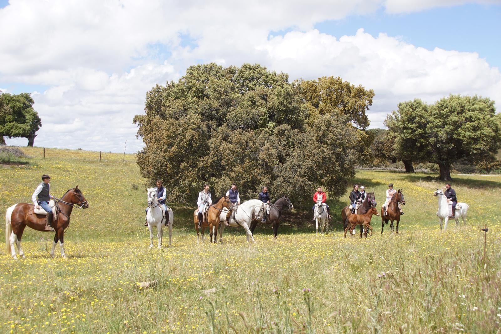 whatsapp-image-2024-05-19-at-14-19-50-1