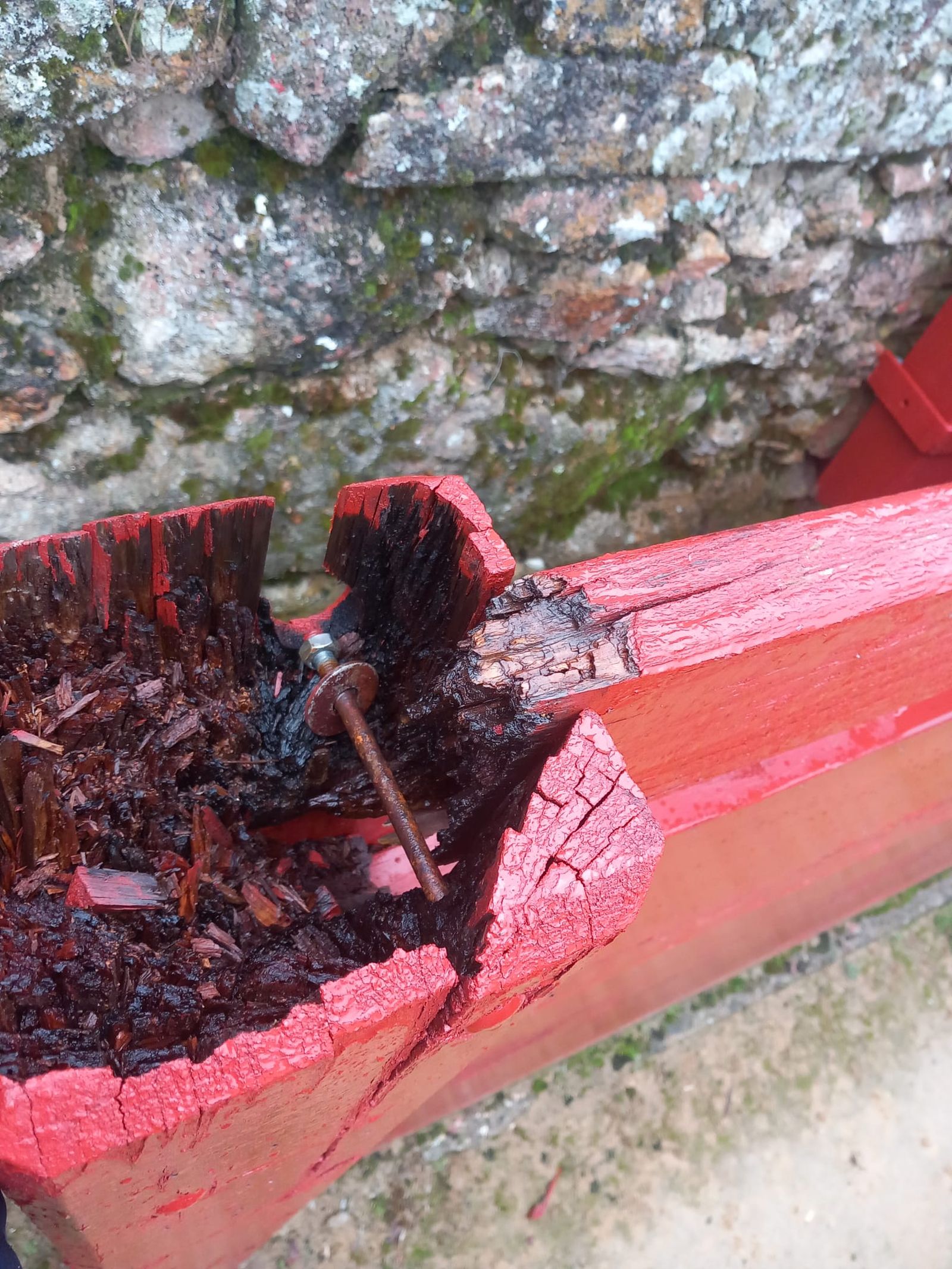Plaza de Toros La Ancianita de Béjar  (4).jpeg