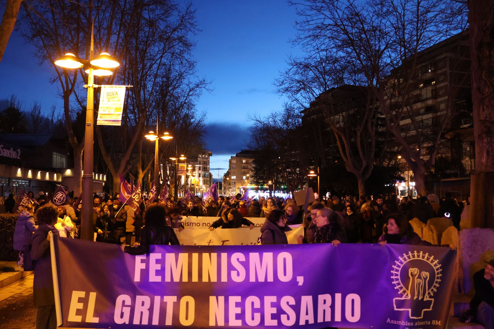 marcha-del-8m-en-zamora-23