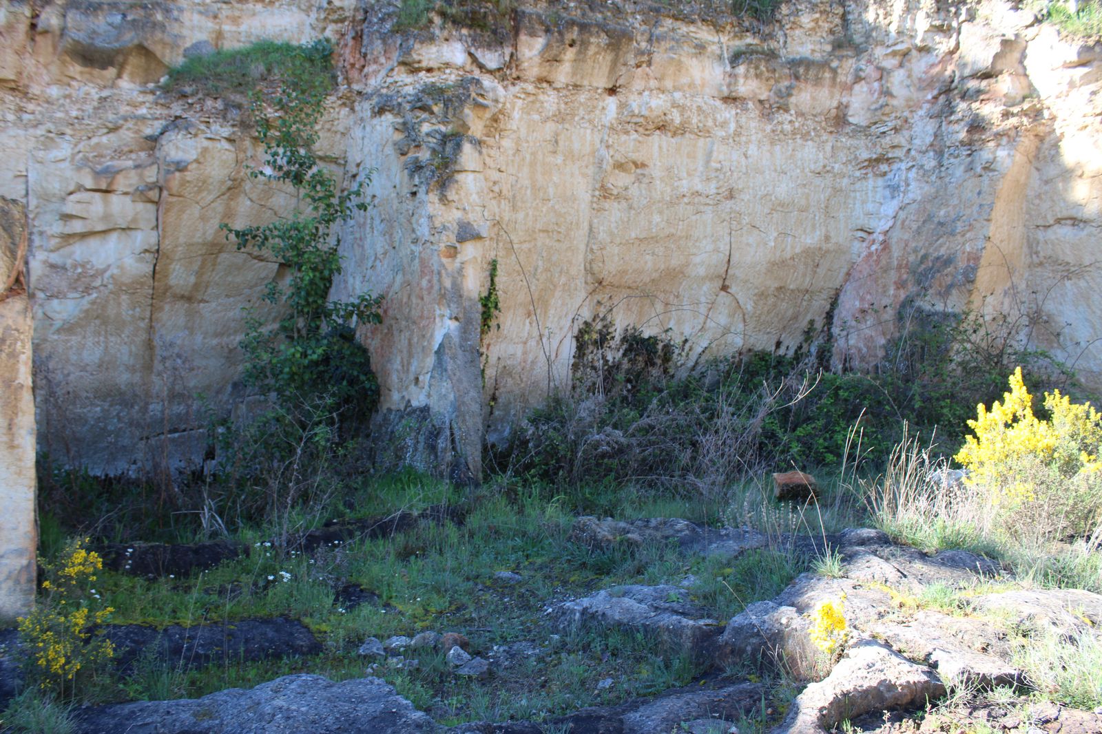 habitat-minero-villamayor-cantera-las-cocinitas-50