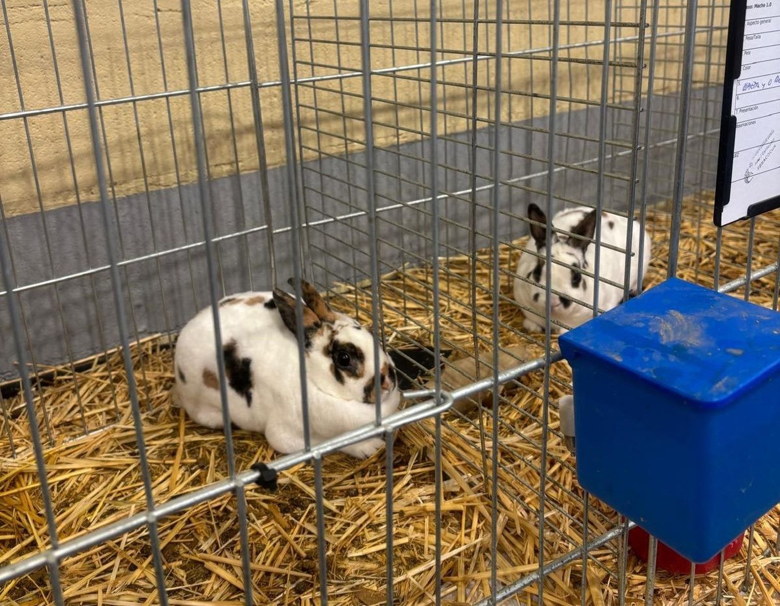 8d0d6239-c336-4788-b4be-a9e736876d90