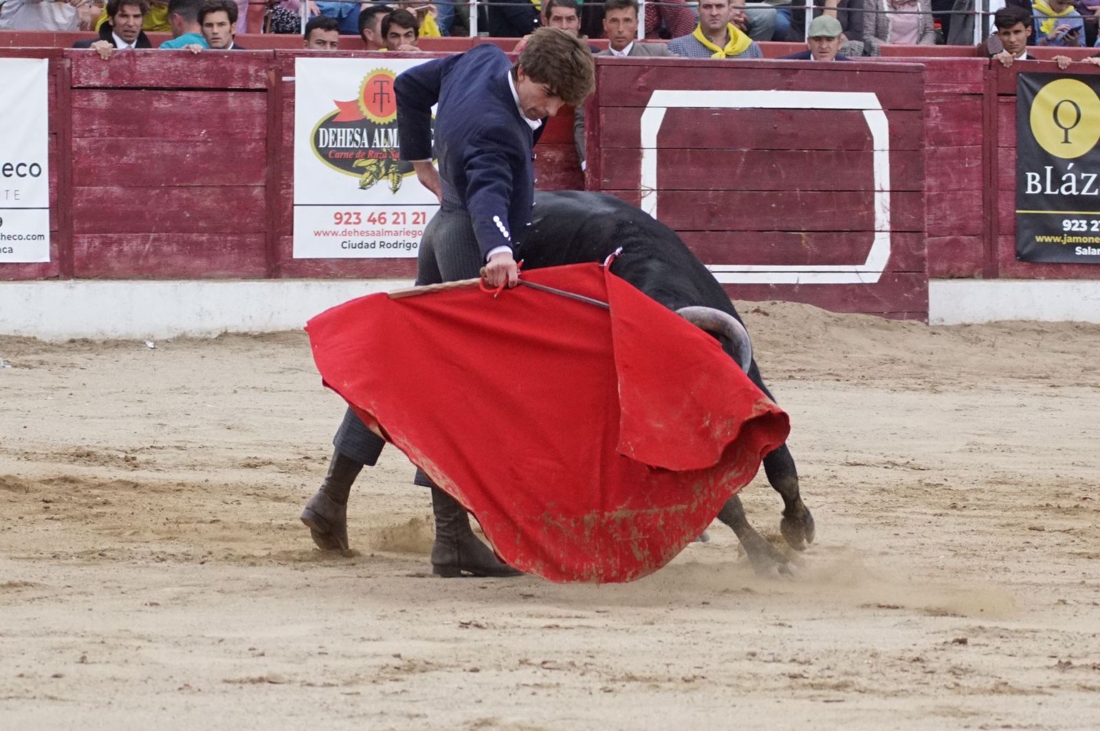 whatsapp-image-2024-10-05-at-19-56-33