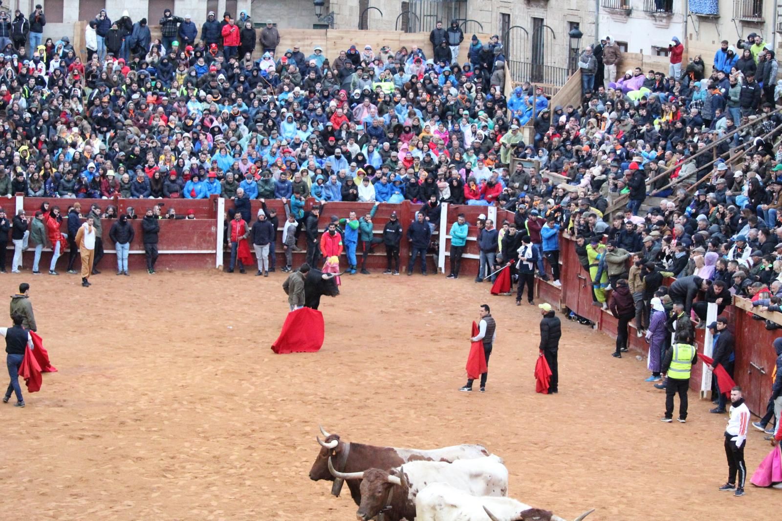 ambiente-y-capea-vespertina-sabado-de-carnaval-en-ciudad-rodrigo-2025-fotos-belen-hurtado-21