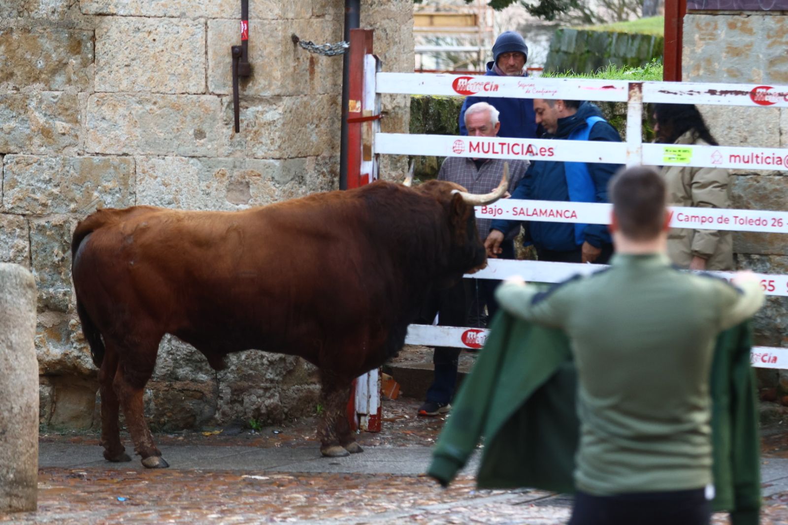 Toro del aguardiente en la mañana de martes del Carnaval del Toro 2026