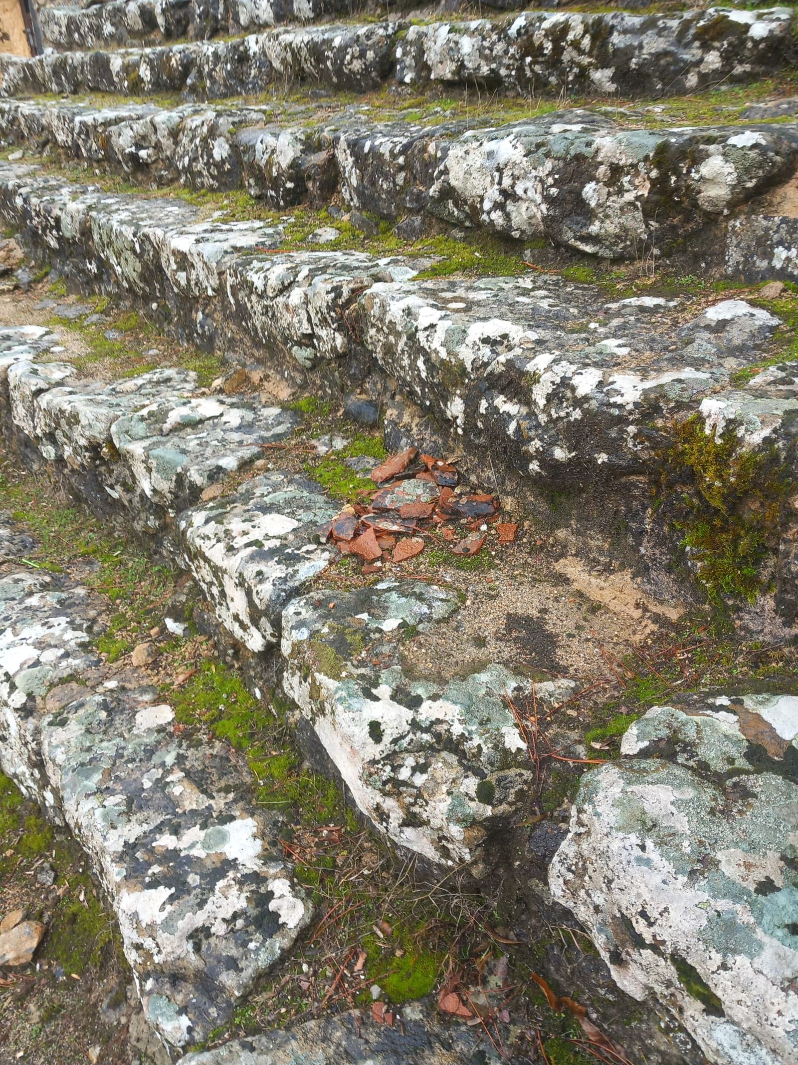 Plaza de Toros La Ancianita de Béjar  (18).jpeg