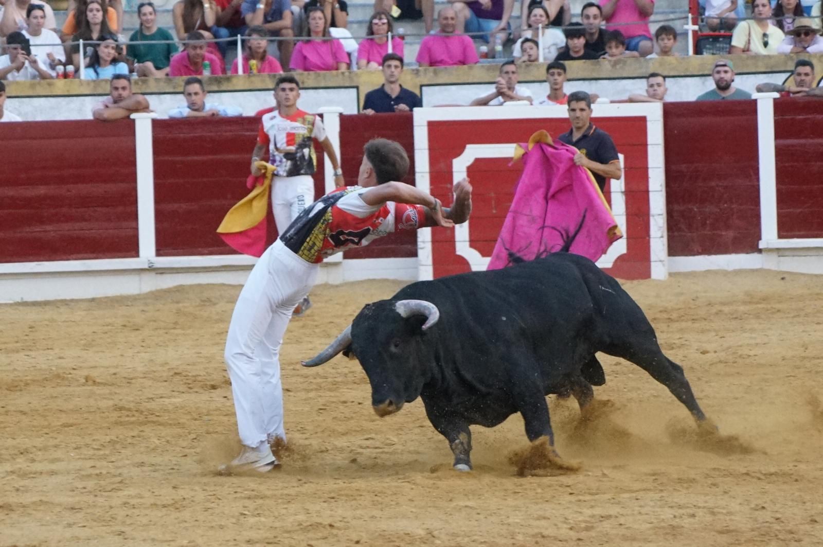 Gran ambiente en los cortes y la suelta de vaquillas de Peñaranda