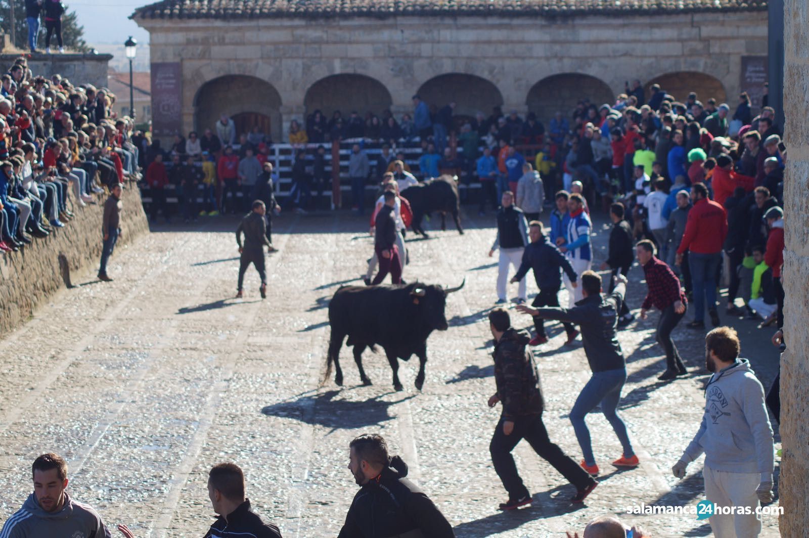 55314e34 dfda 4ae9 8c86 f657fd42e5d3