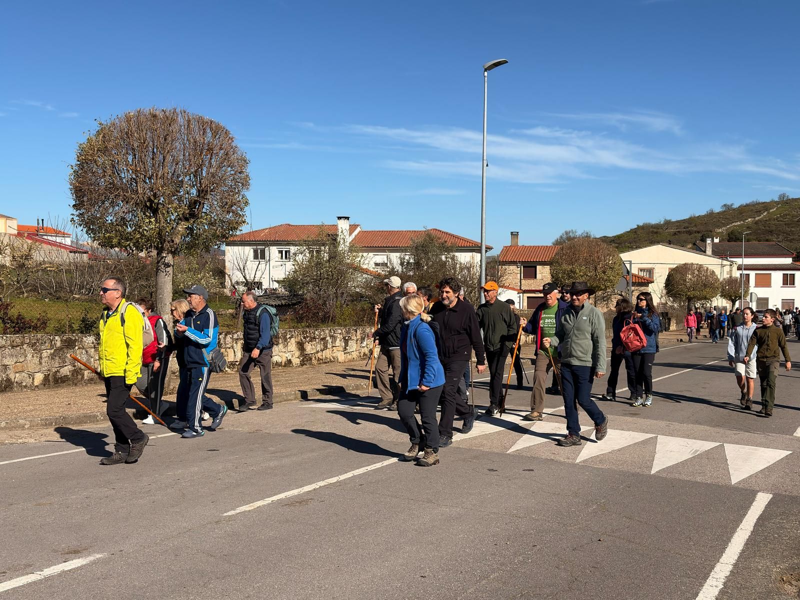 whatsapp-image-2025-03-30-at-11-28-46-2