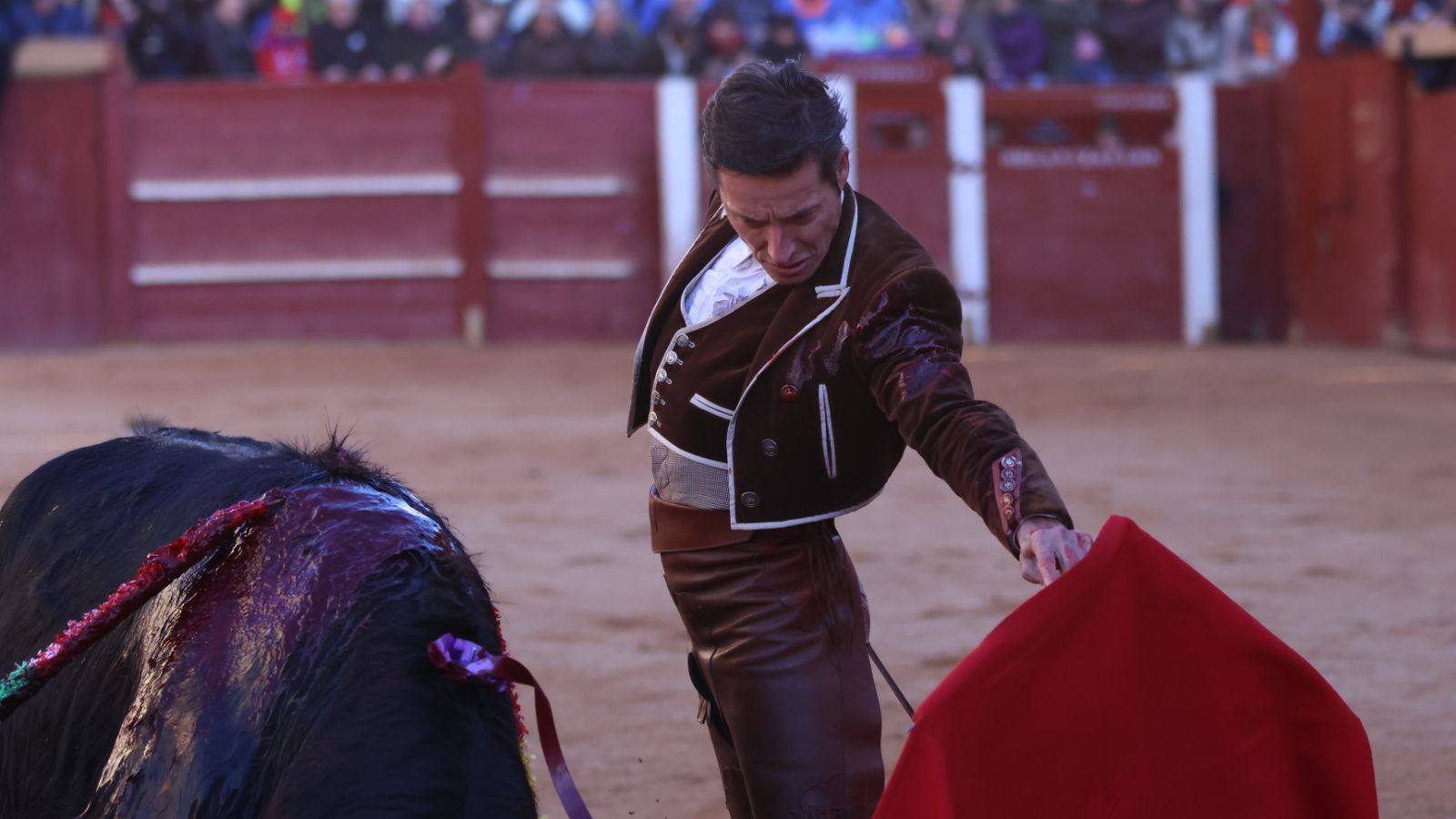 Diego Urdiales en el festival taurino del Sábado en el Carnaval del Toro 2026 de Ciudad Rodrigo