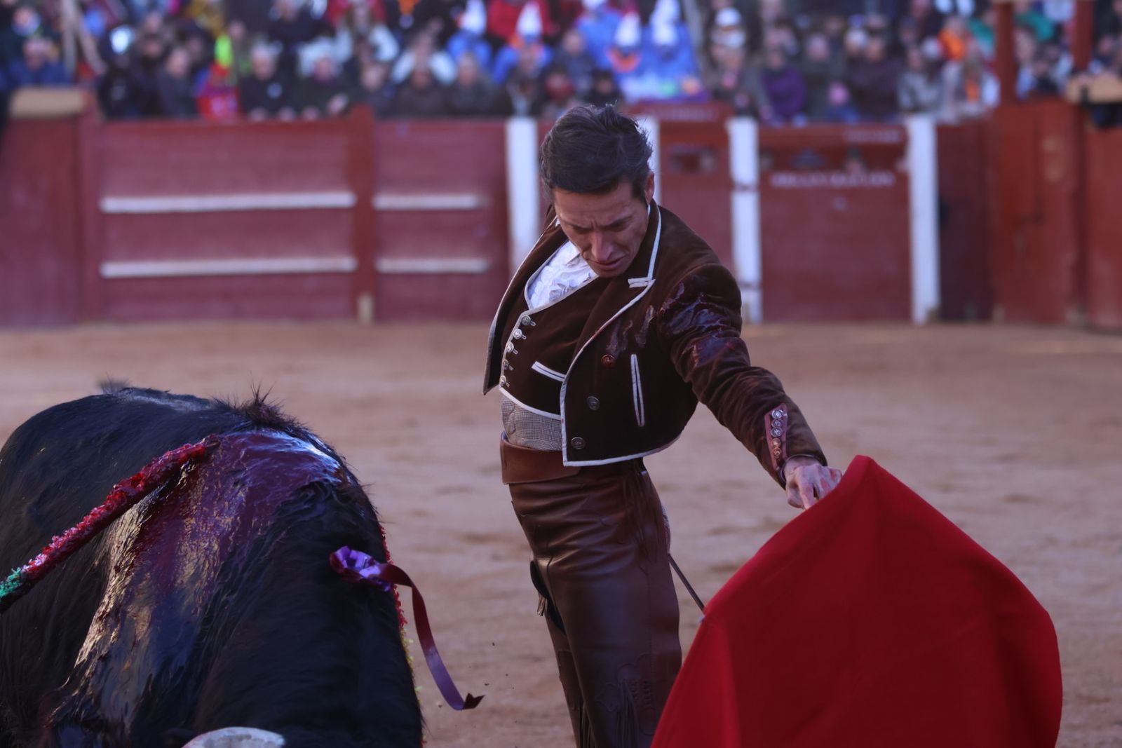 Festival taurino del Sábado en el Carnaval del Toro 2026 de Ciudad Rodrigo