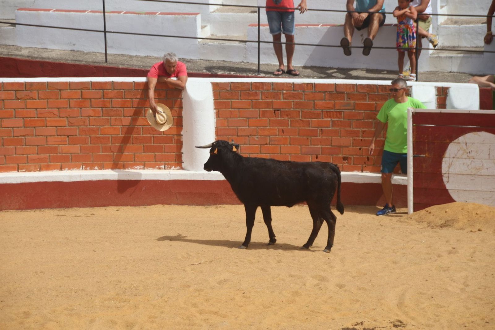 20230809120153-img-9615