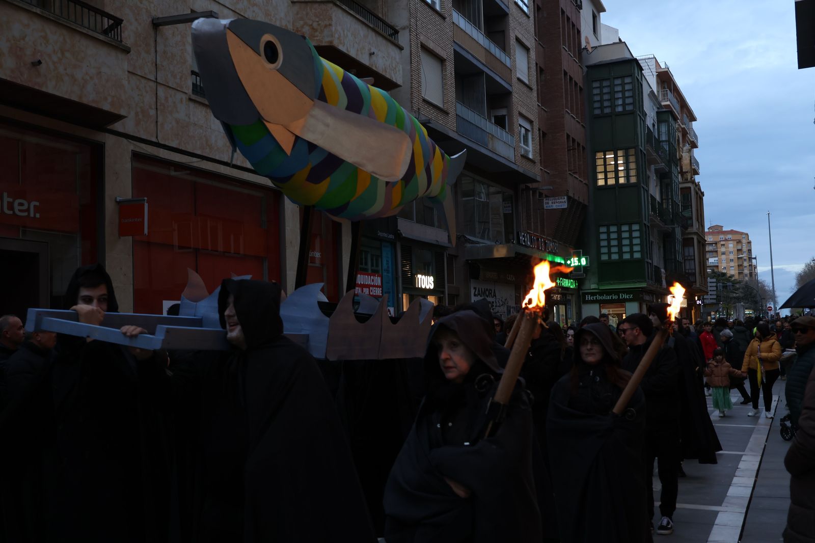 entierro-de-la-sardina-2025-27