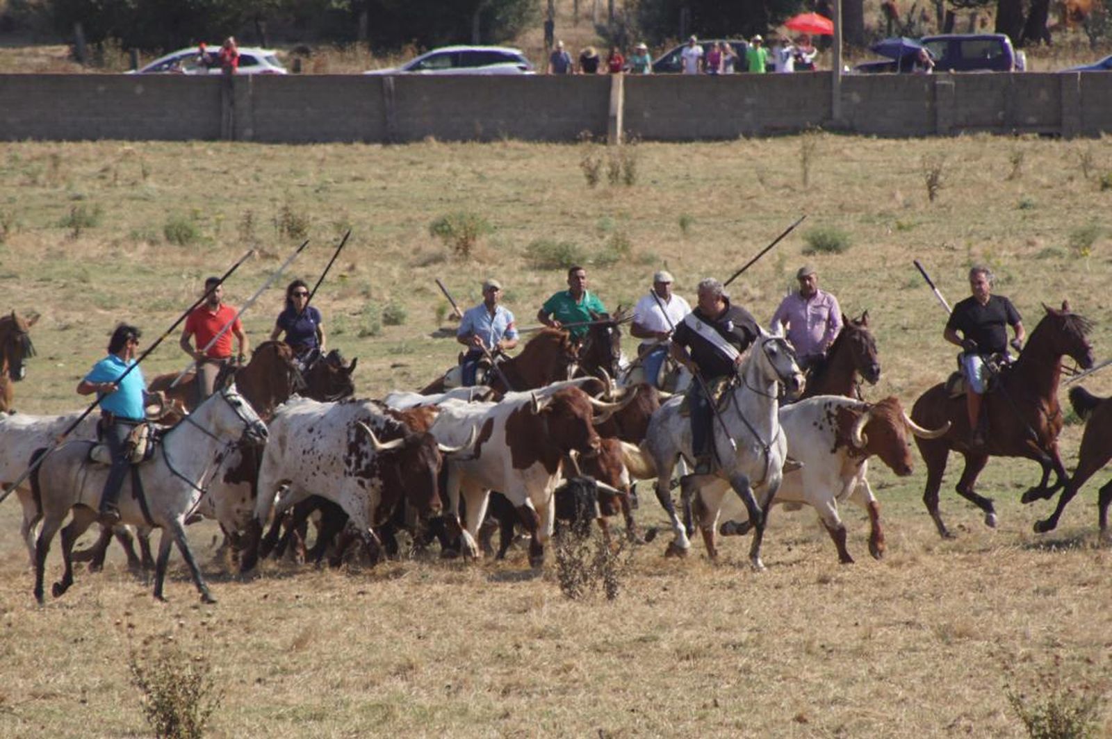 espantes-de-fuentesauco-29