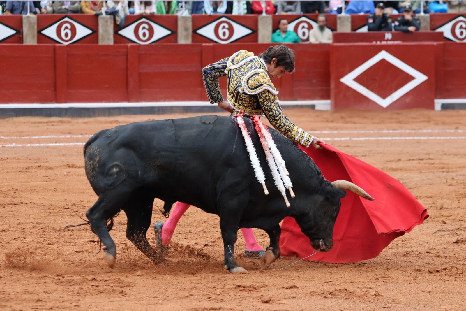 20230916182202-img-5515