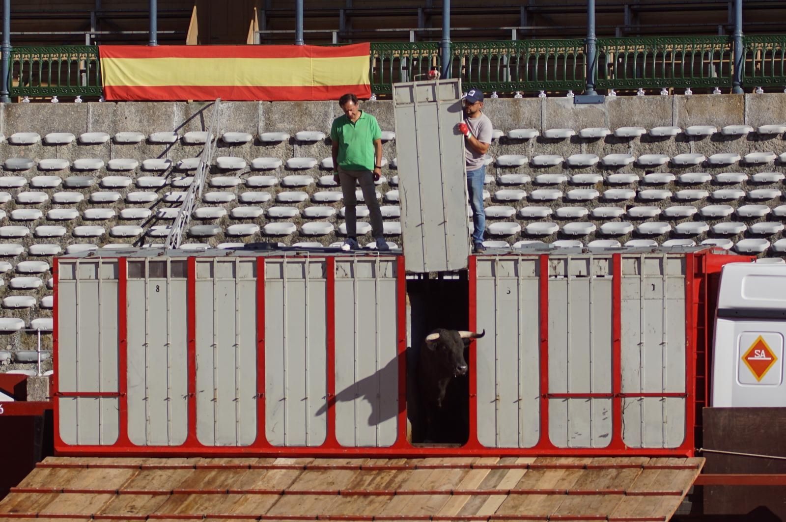 Tradicional Desenjaule en la Plaza de Toros La Glorieta