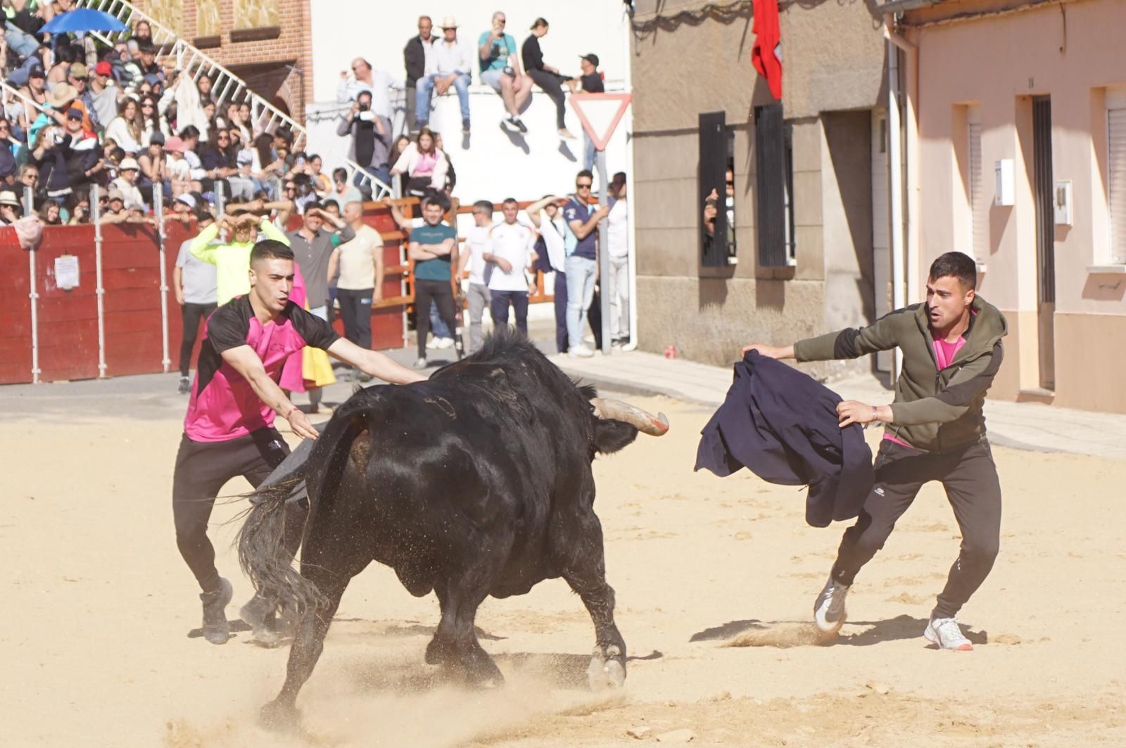 whatsapp-image-2025-04-26-at-19-02-14-1