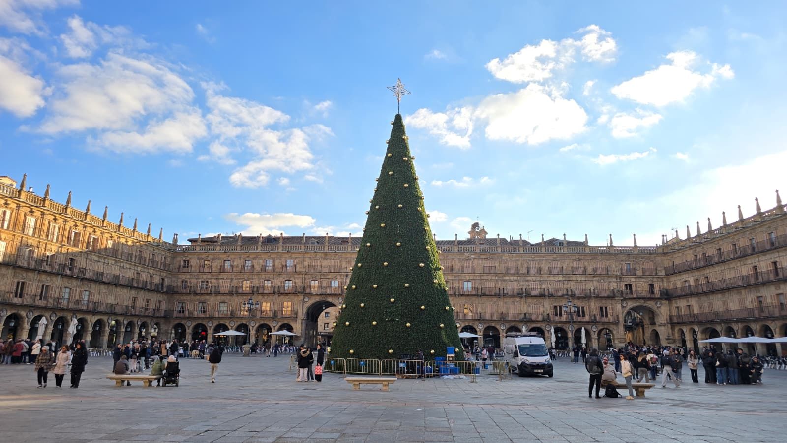 El gran árbol de Navidad ya luce en todo su esplendor en el centro de la Plaza Mayor