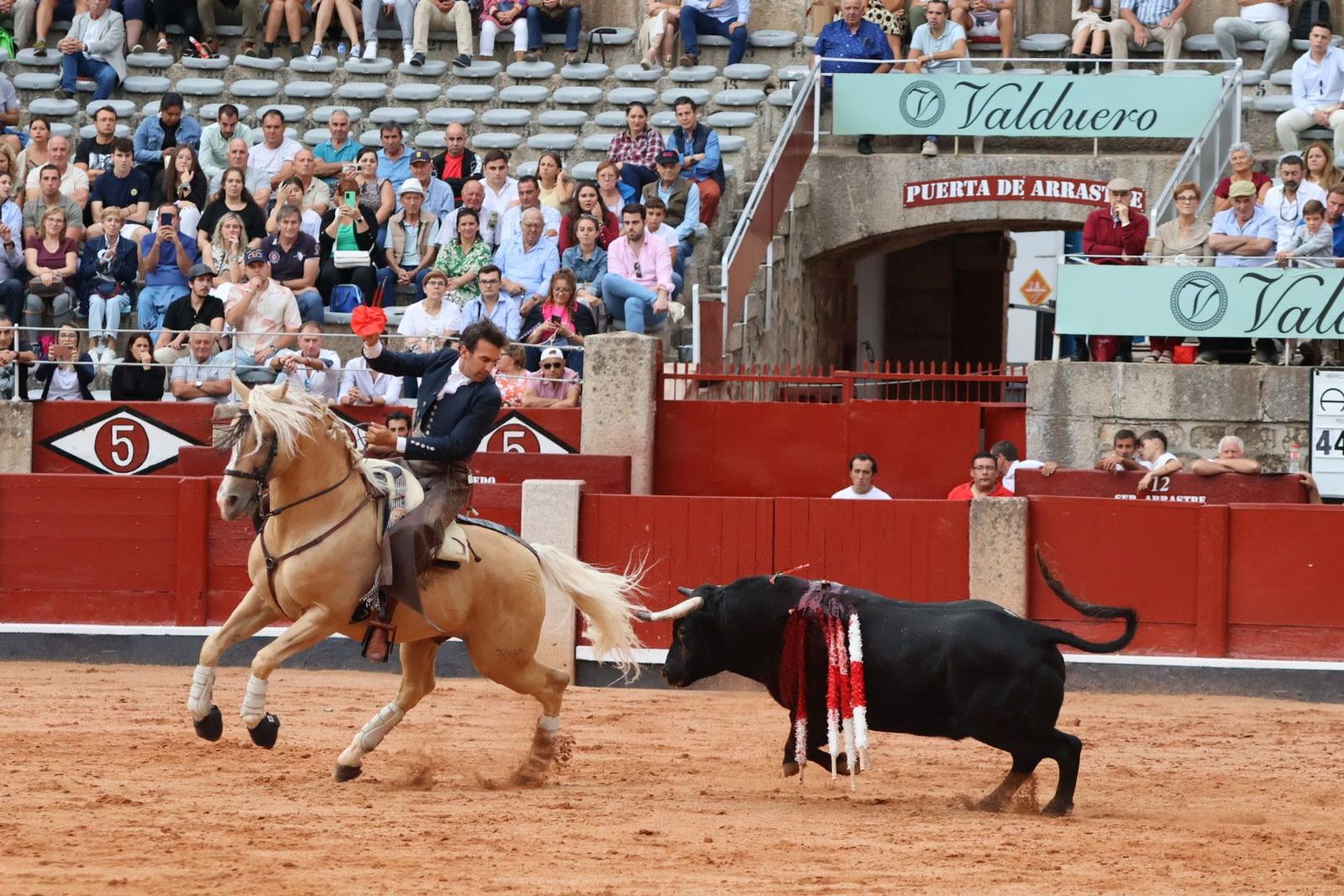 20230909184625-img-0743