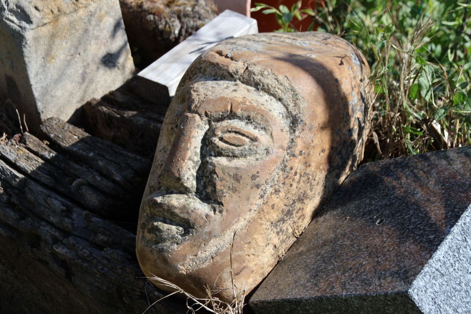 20230614092647-img-2667