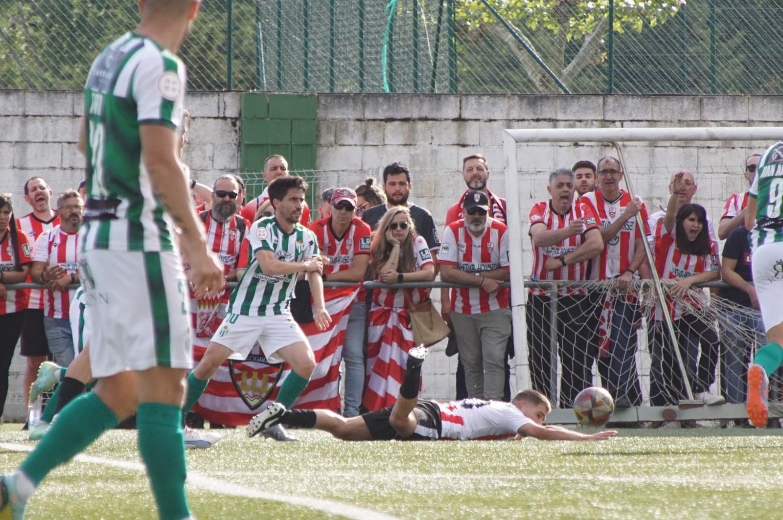 74e88799-5719-4ab4-a3be-8fc8462bd8dd