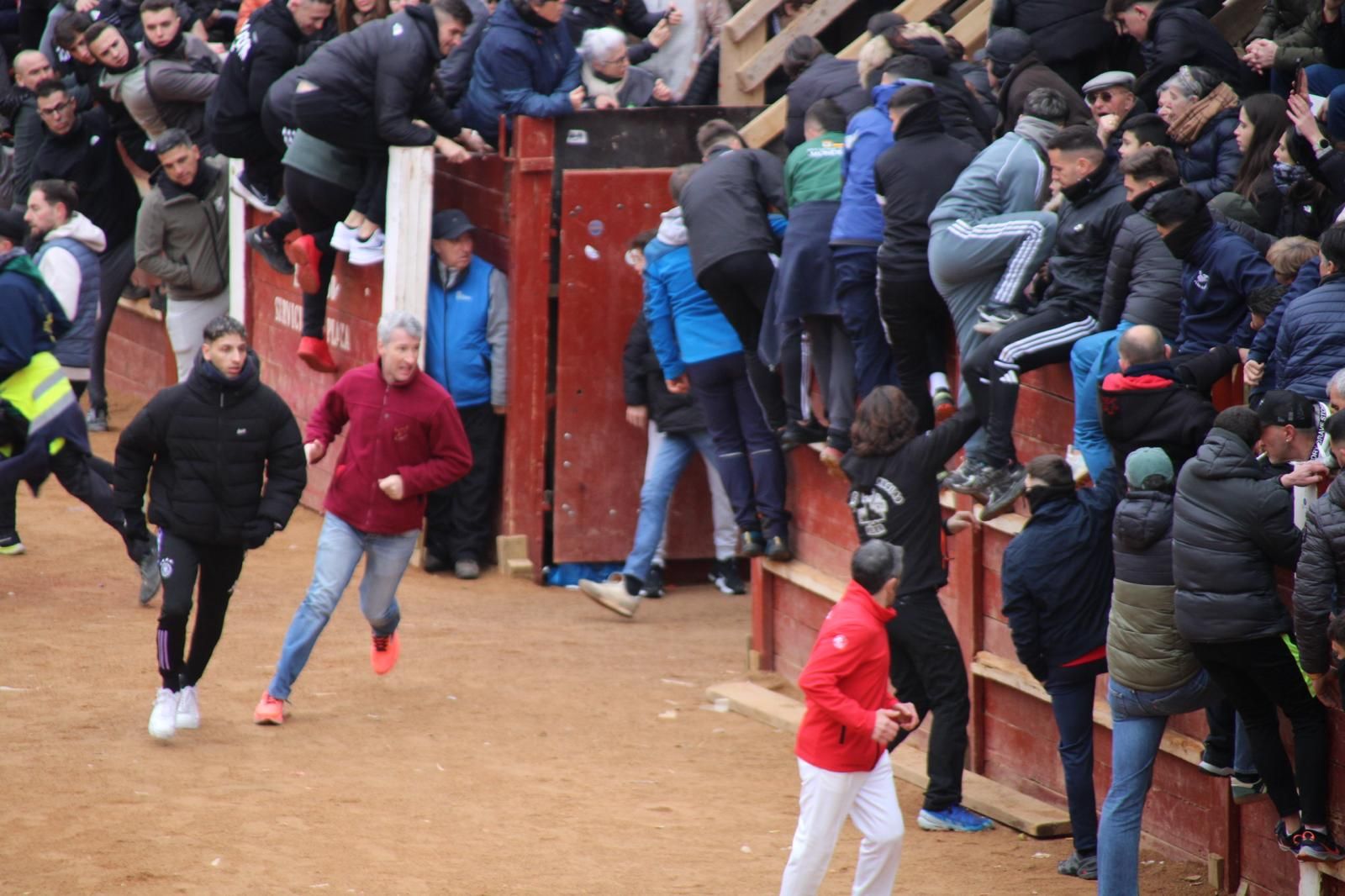 Encierro a Caballo en el Carnaval del Toro 2026 de Ciudad Rodrigo