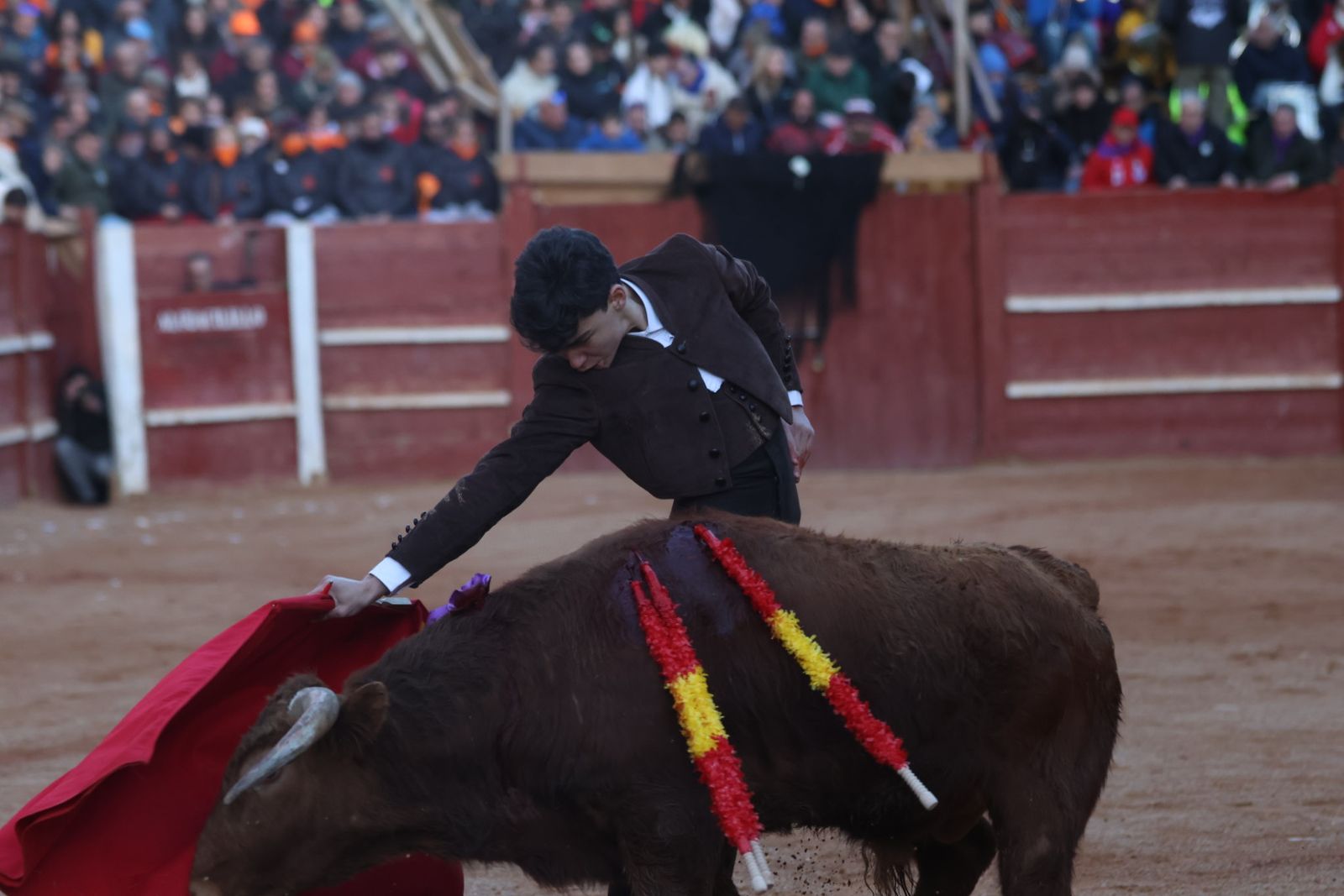 Festival taurino del Sábado en el Carnaval del Toro 2026 de Ciudad Rodrigo