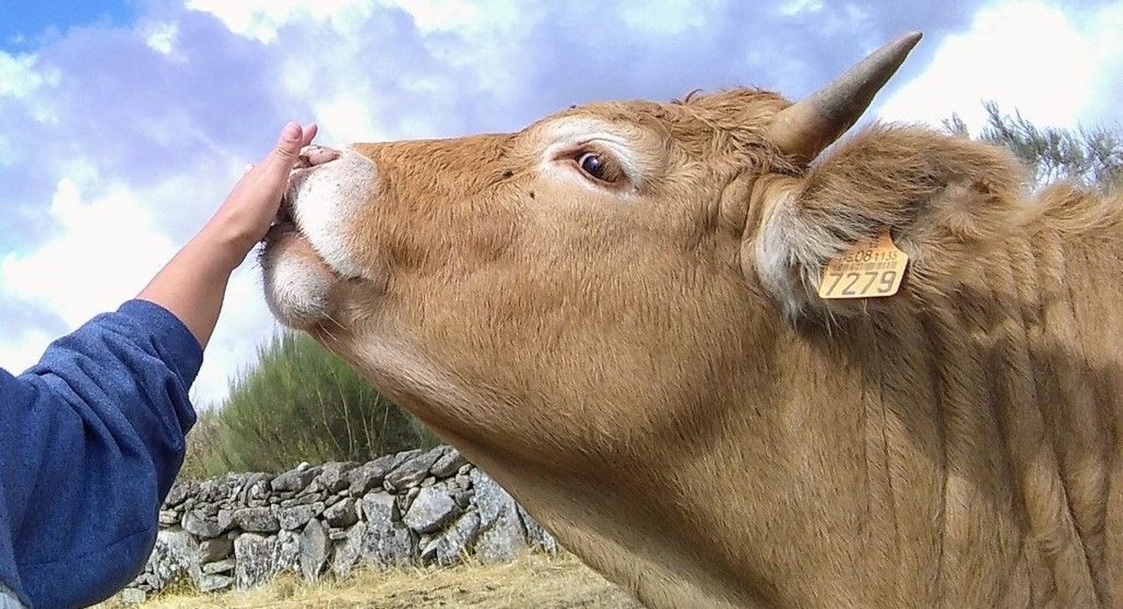 Foto ganadora concurso de Masueco
