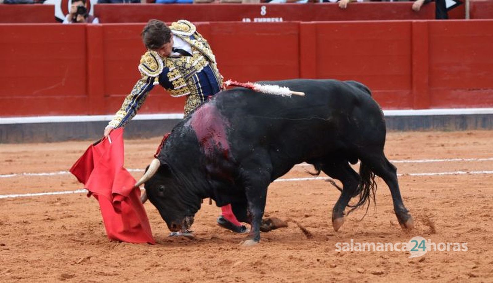 Sebastián Castella y 'Caramelo', un gran astado del hierro de Olga Jiménez. Foto Andrea M.