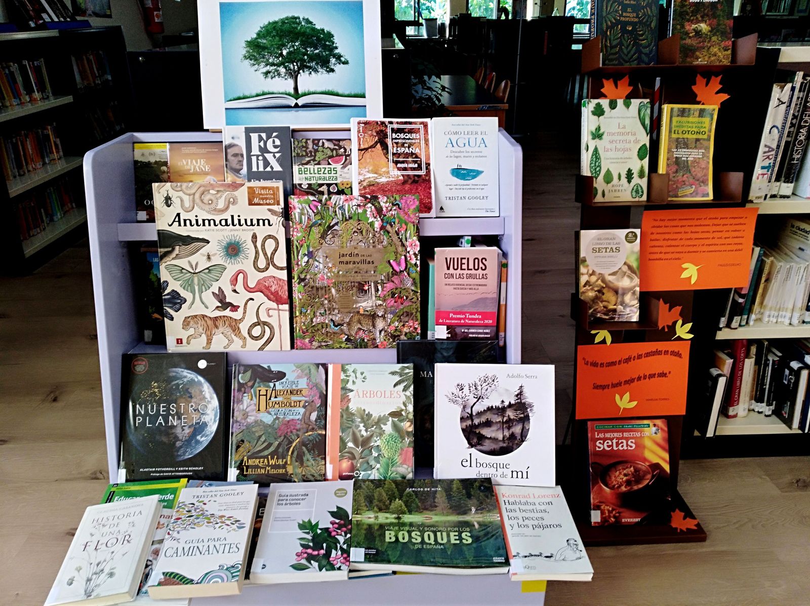 Día de la Biblioteca, Santa Marta