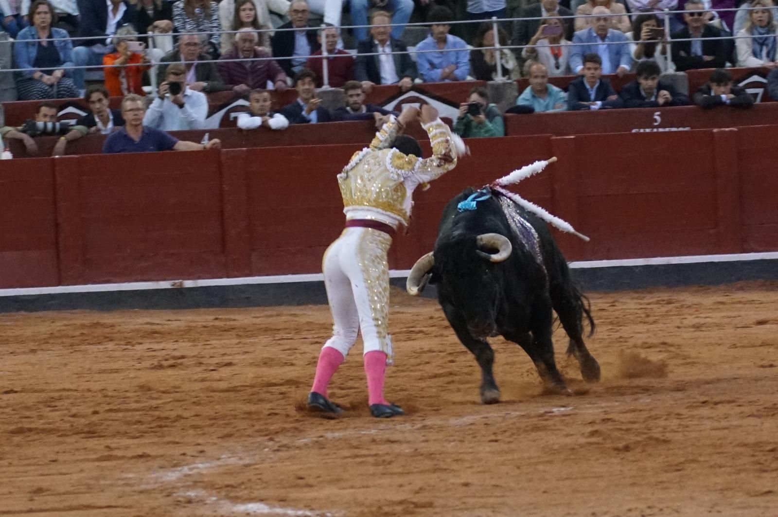 corrida-concurso-momentos-mas-destacados-del-ultimo-festejo-de-abono-de-la-feria-taurina-virgen-de-la-vega-2024-fotos-carlos-h-g-y-juanes-21
