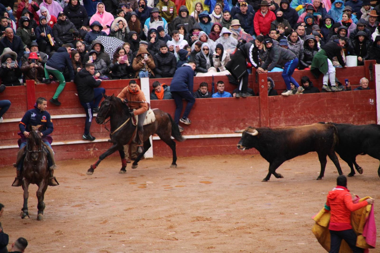 whatsapp-image-2024-02-11-at-11-41-49-4