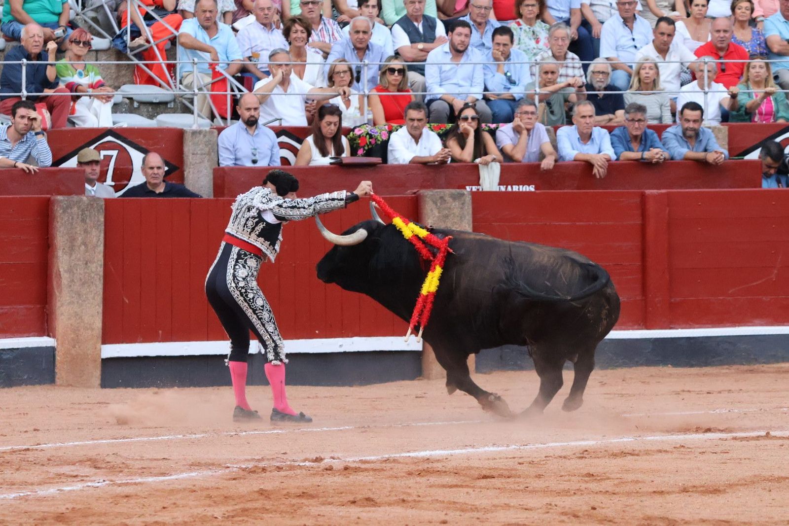 20230910191635-img-2259