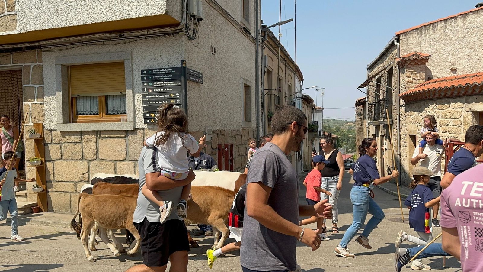 Mini bueyes en Aldeadávila