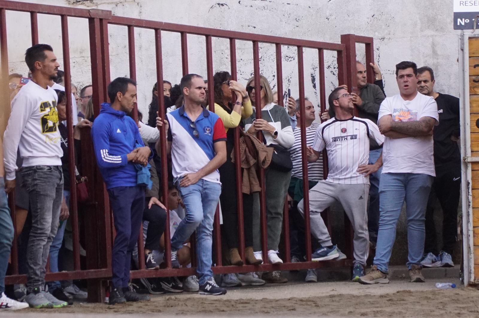 Toro del cajón y capea en Alba de Tormes