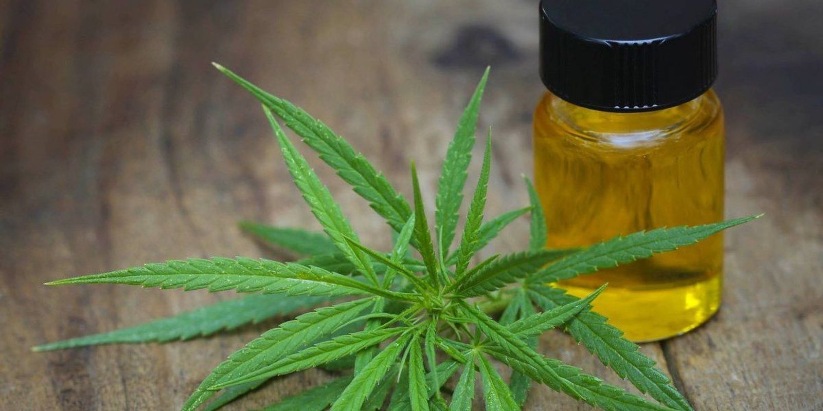 10p104colcannabis b85d09f407864111cd94b9ccbc6f7160 1200x600