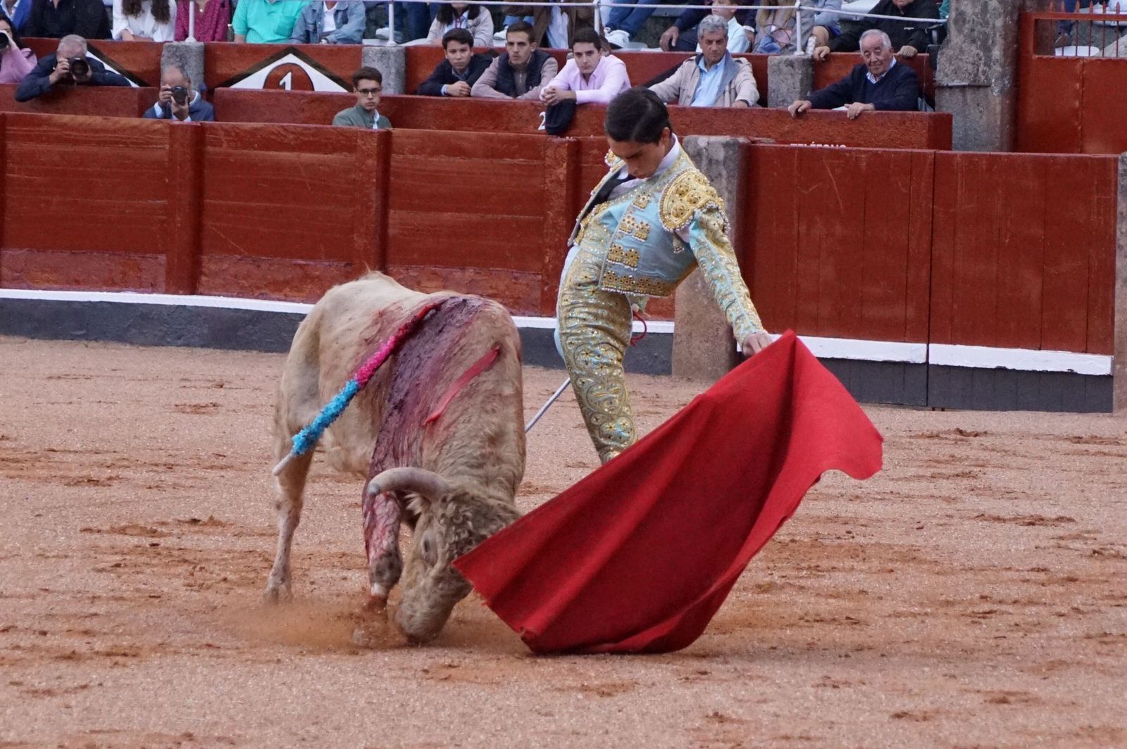 whatsapp-image-2022-09-08-at-9-20-33-pm