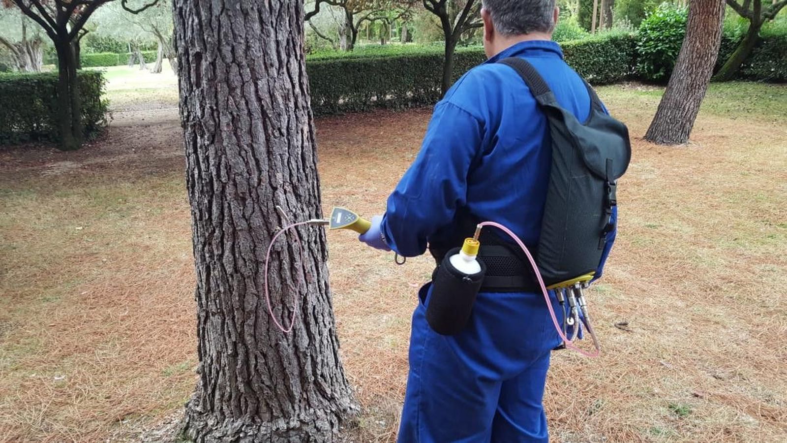 FITOSANITARIOS (1) 1200x675