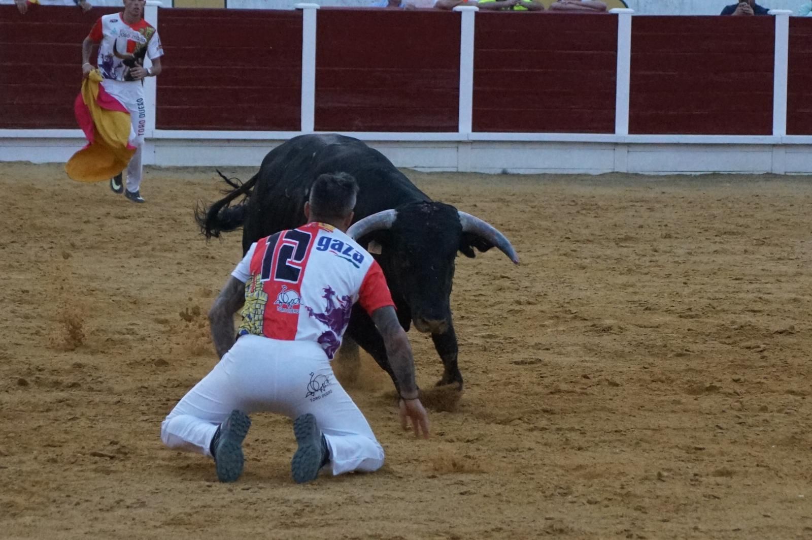 Gran ambiente en los cortes y la suelta de vaquillas de Peñaranda