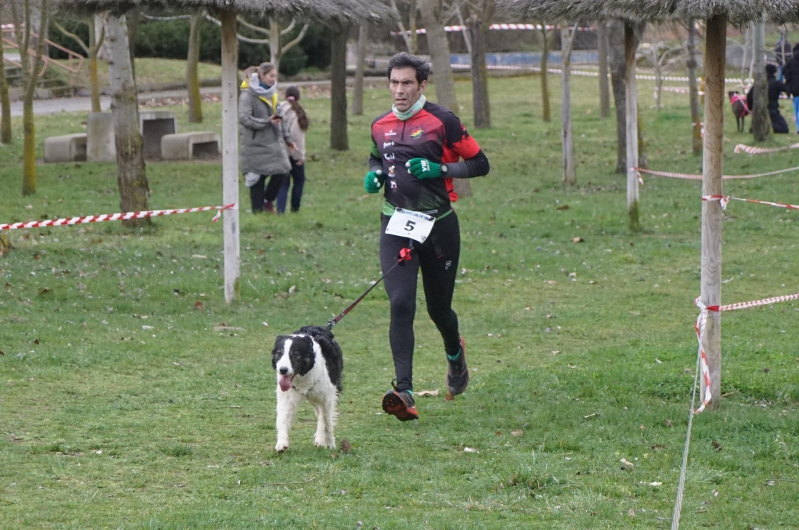 iv-canicross-alba-de-tormes-12