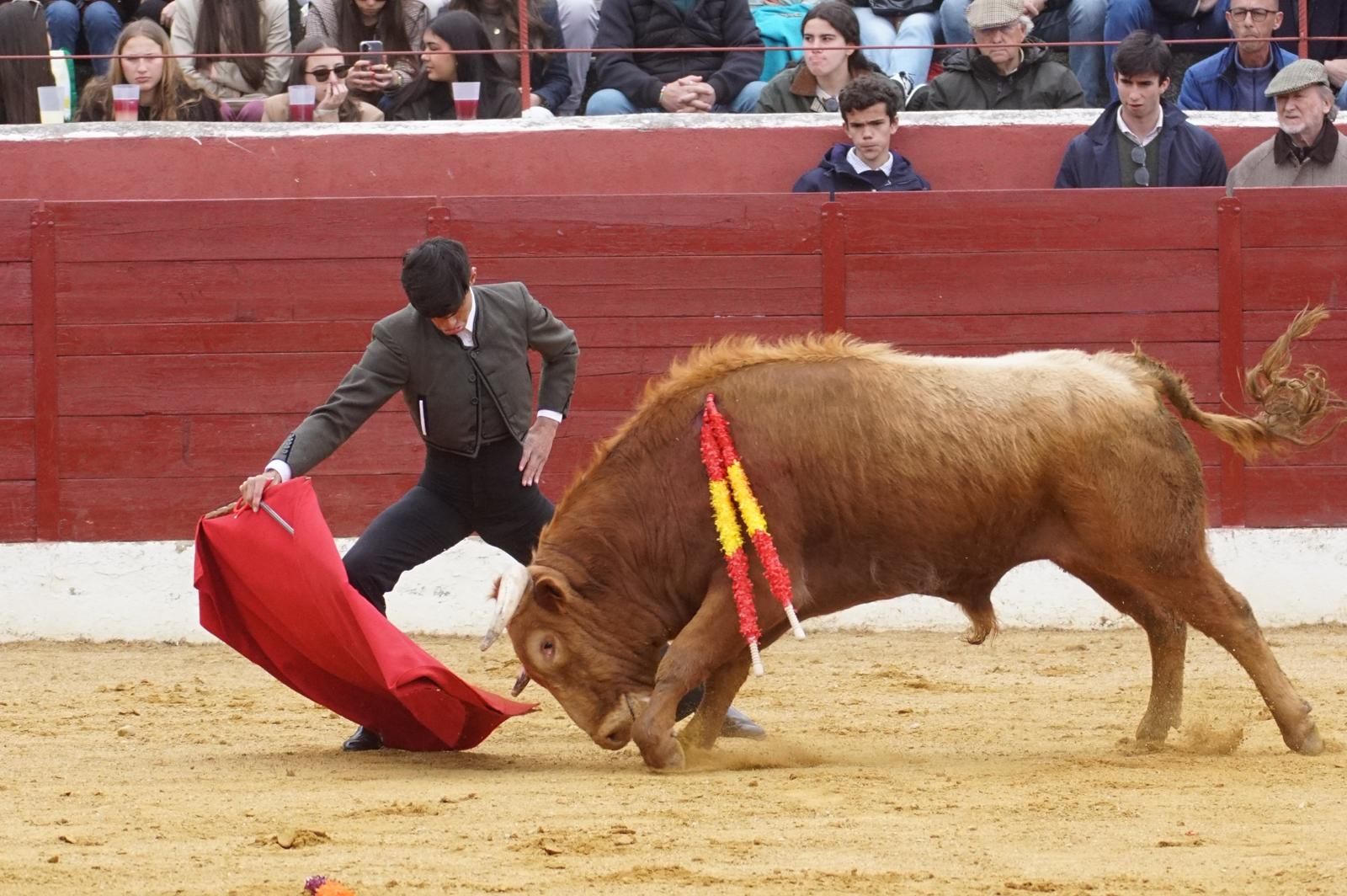 Festival taurino en Villoria