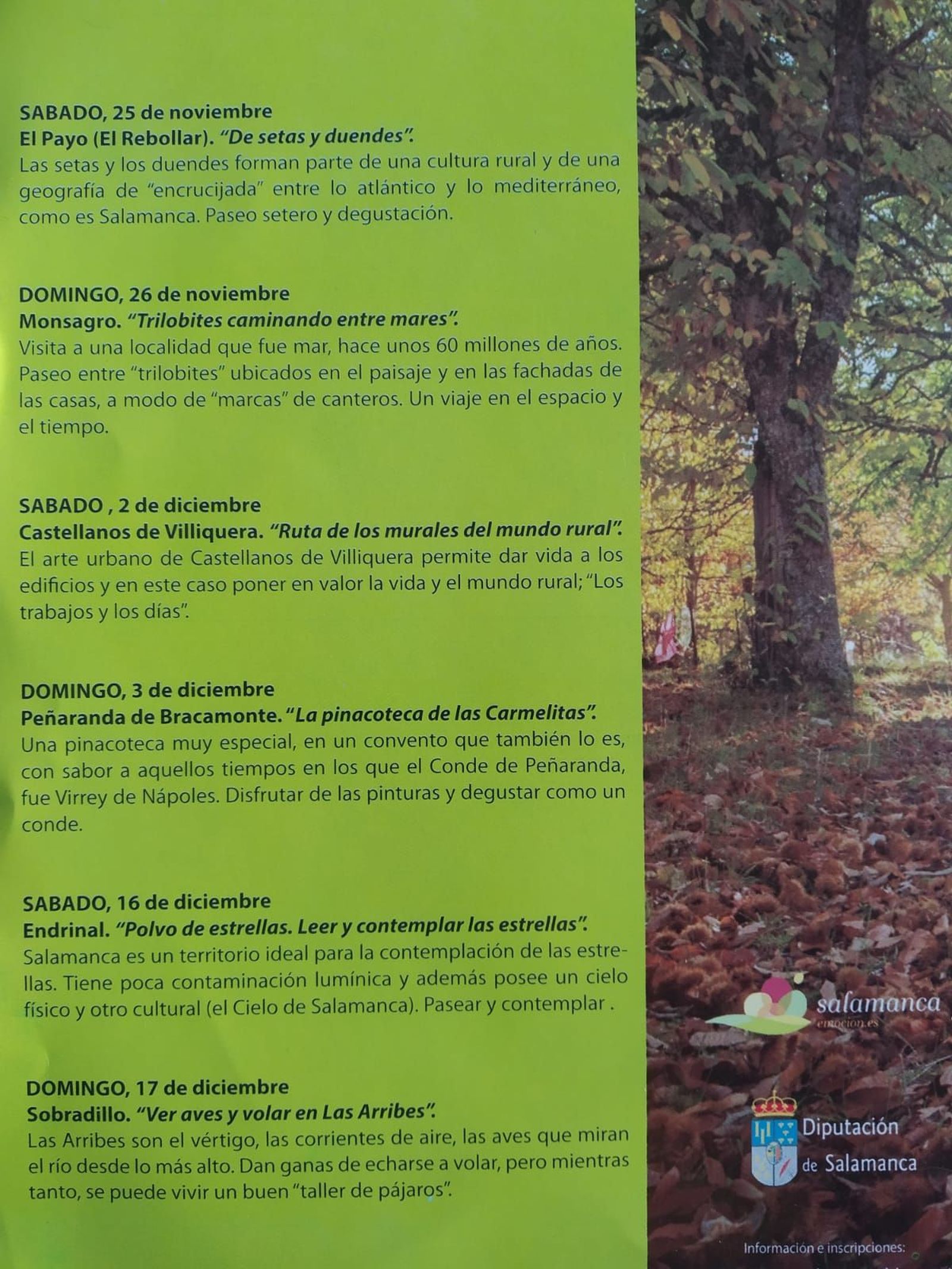 Programa 1000 Otoños 