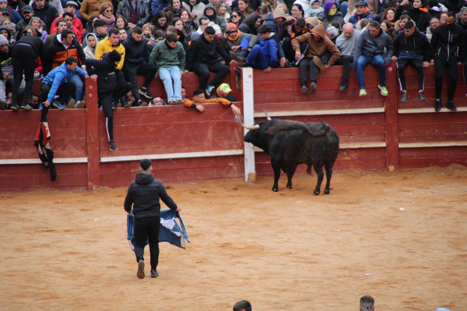 whatsapp-image-2025-03-01-at-13-18-53