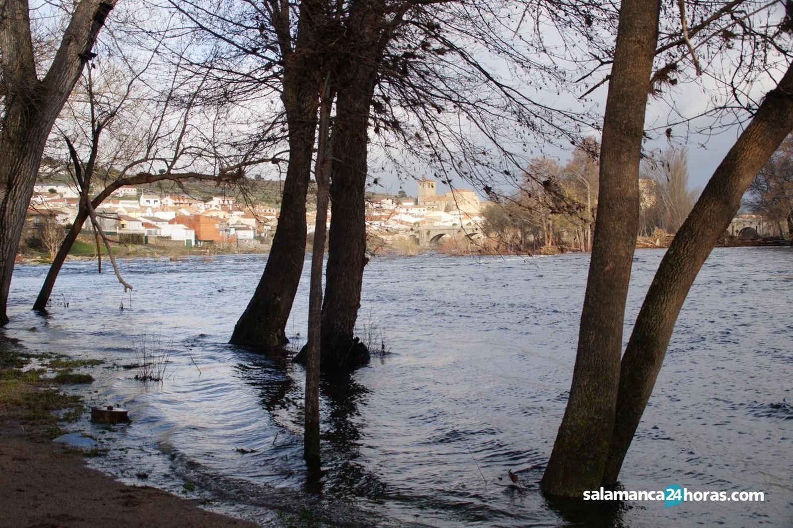 Crecida en Puente Congosto